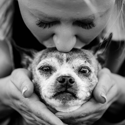 Wat geef je aan iemand die zijn hond verloren heeft
