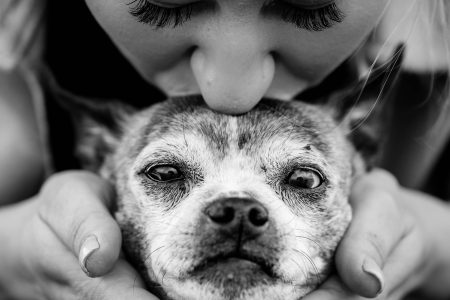 Wat geef je aan iemand die zijn hond verloren heeft