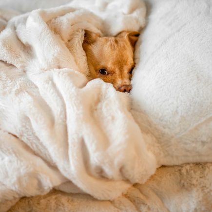 Wat is het beste dekenmateriaal voor de winter?