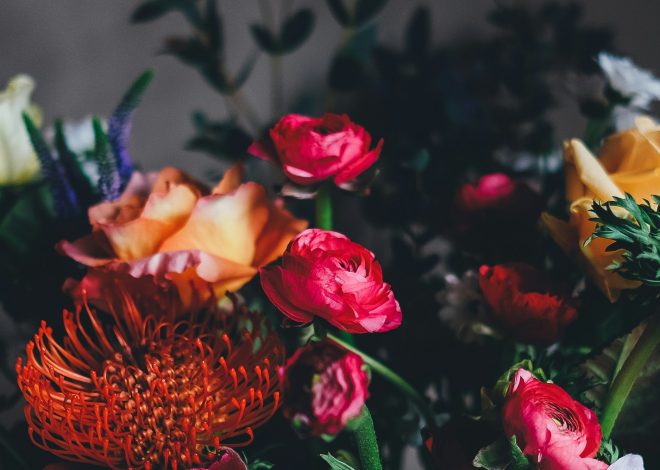 Geboortebloem per maand: ontdek jouw bloem en de betekenis erachter