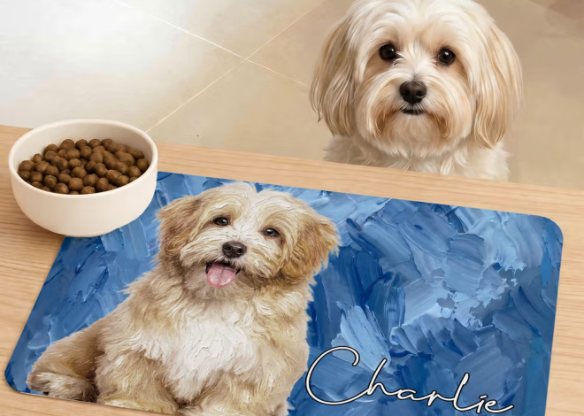 De voerplek als stijlelement: schone vloeren met een gepersonaliseerde artistieke voermat